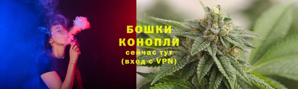 крисы Наволоки
