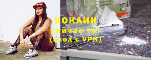 крисы Наволоки