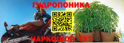 стаф Изобильный
