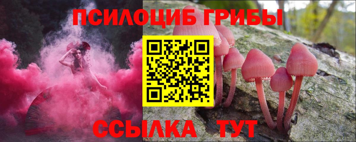 Псилоцибиновые грибы MAGIC MUSHROOMS Протвино