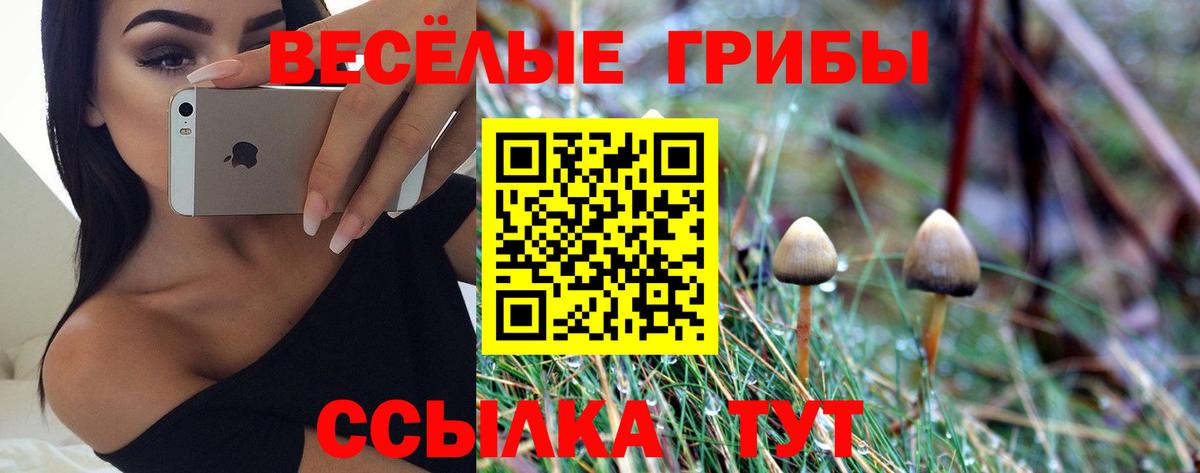 Протвино  Псилоцибиновые грибы мухоморы  Галлюциногенные грибы прущие грибы  Вход с VPN 